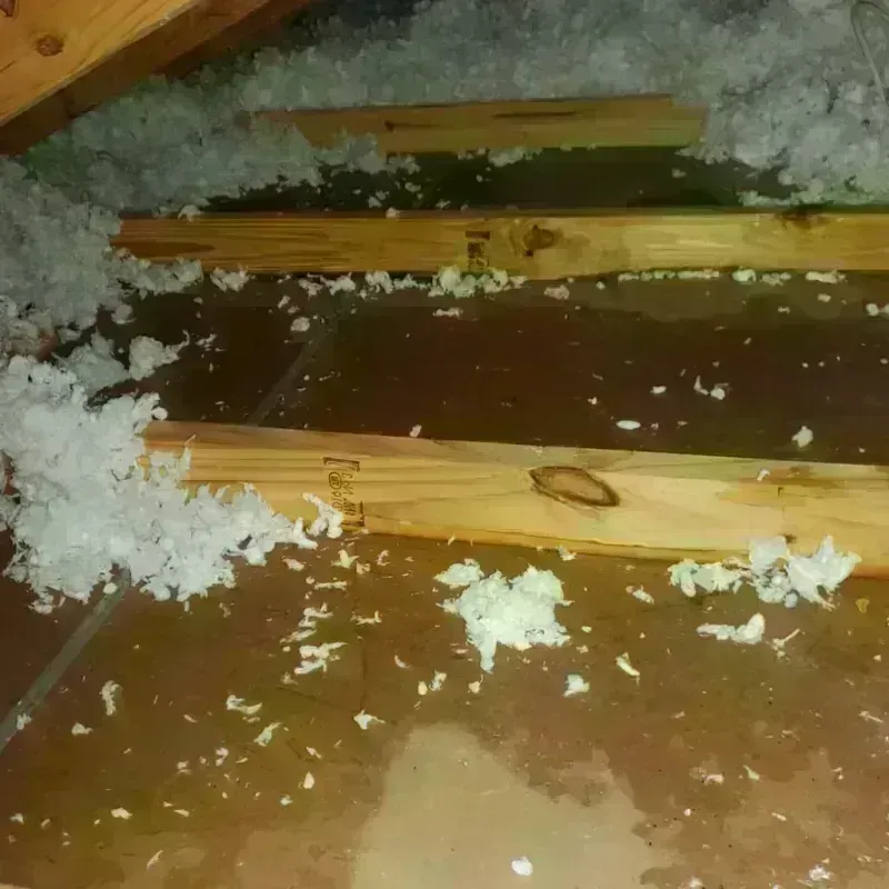 Attic Water Damage in El Granada, CA