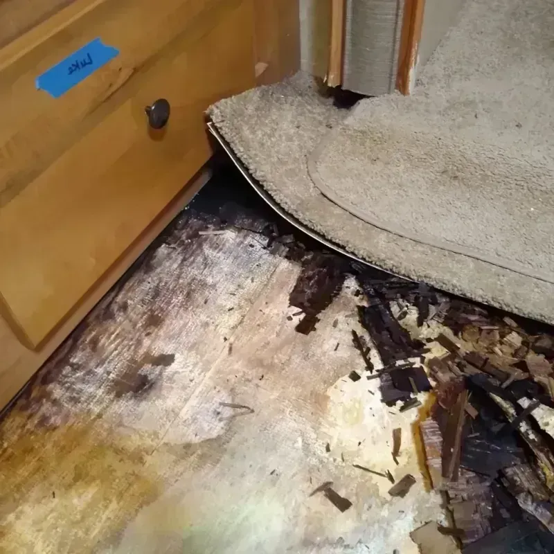 Wood Floor Water Damage in El Granada, CA